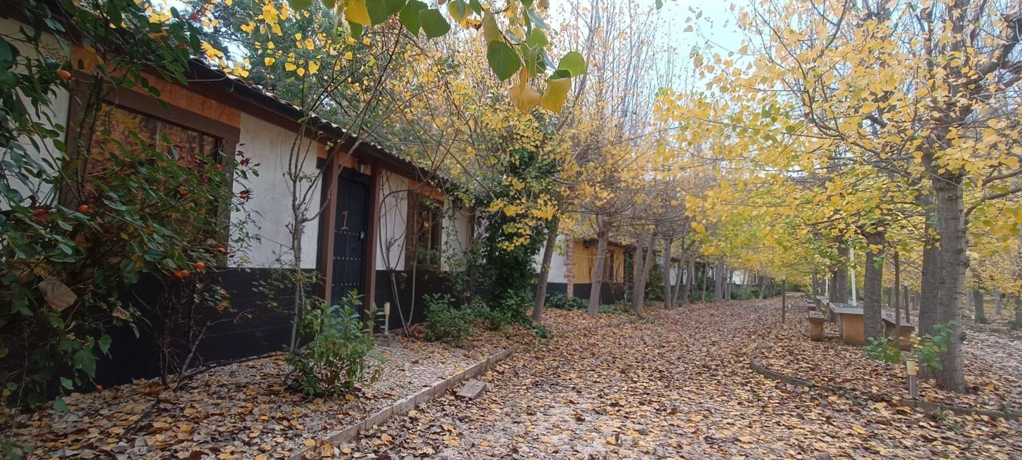 Casas Rurales Vado Del Rio Tus Cortijo Prados Exteriér fotografie