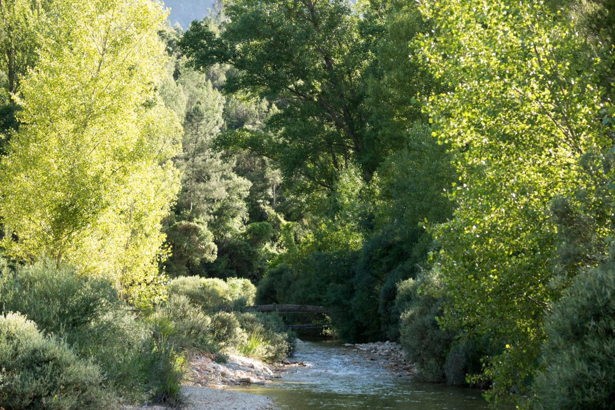 Casas Rurales Vado Del Rio Tus Cortijo Prados Exteriér fotografie