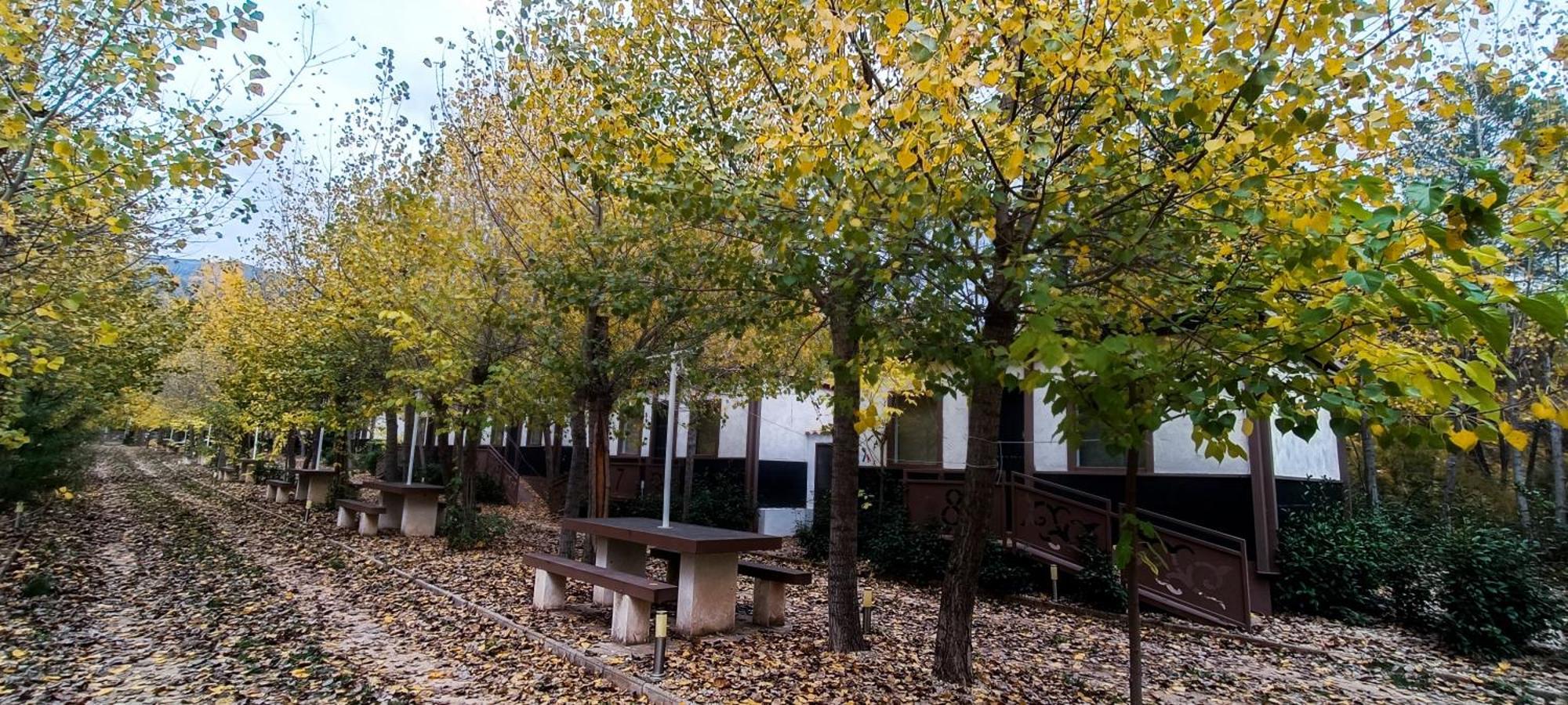 Casas Rurales Vado Del Rio Tus Cortijo Prados Exteriér fotografie