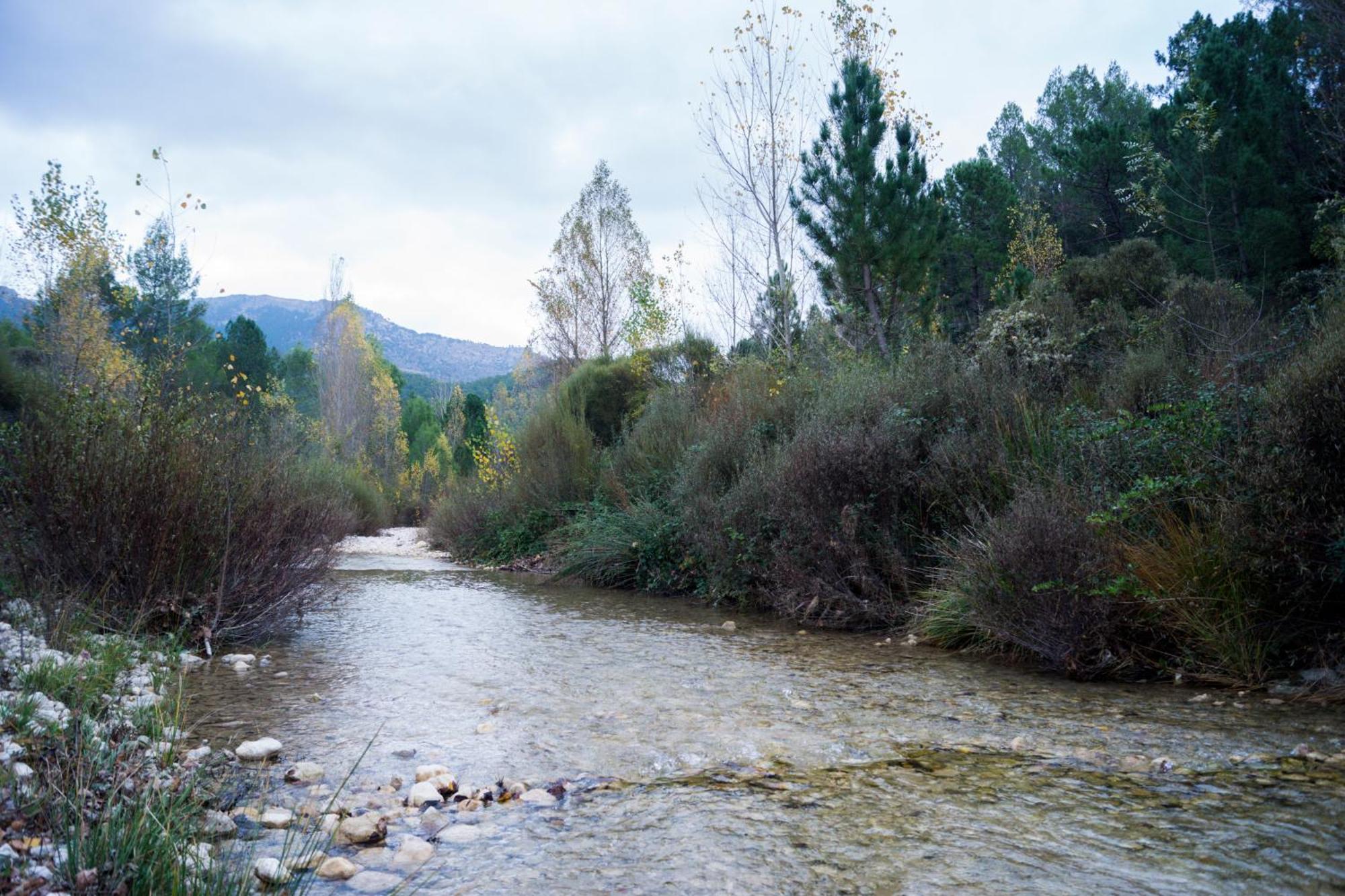 Casas Rurales Vado Del Rio Tus Cortijo Prados Exteriér fotografie